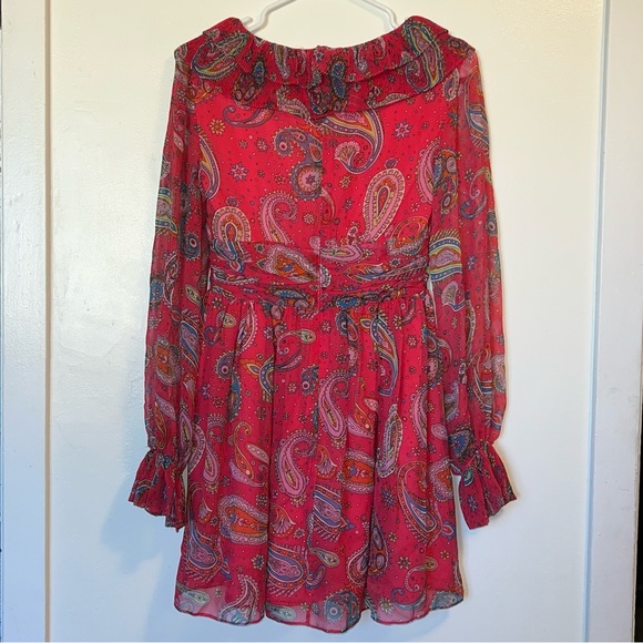 Betsy Johnson silk pink paisley dress - Picture 4 of 17